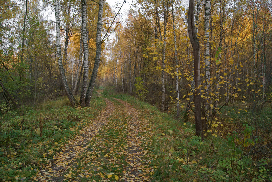     (4)