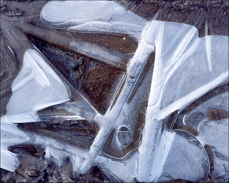   5.