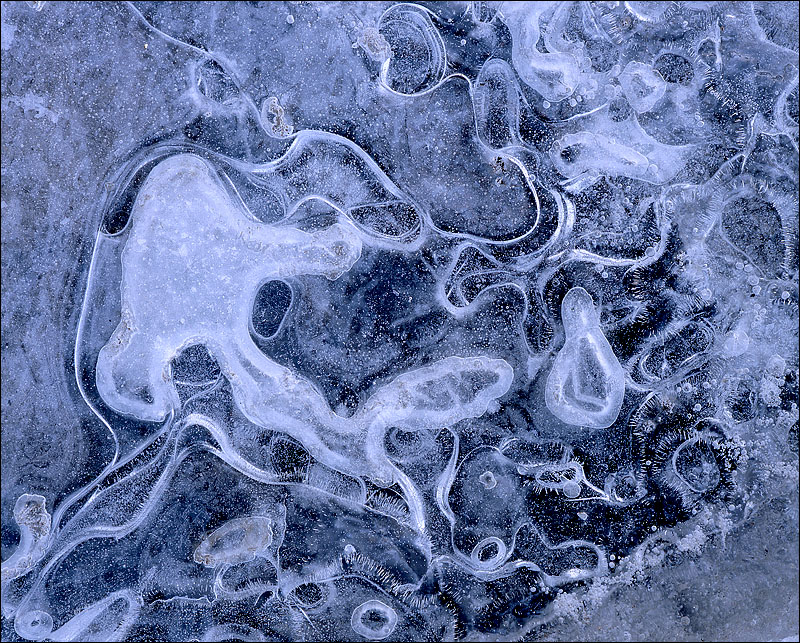   14.