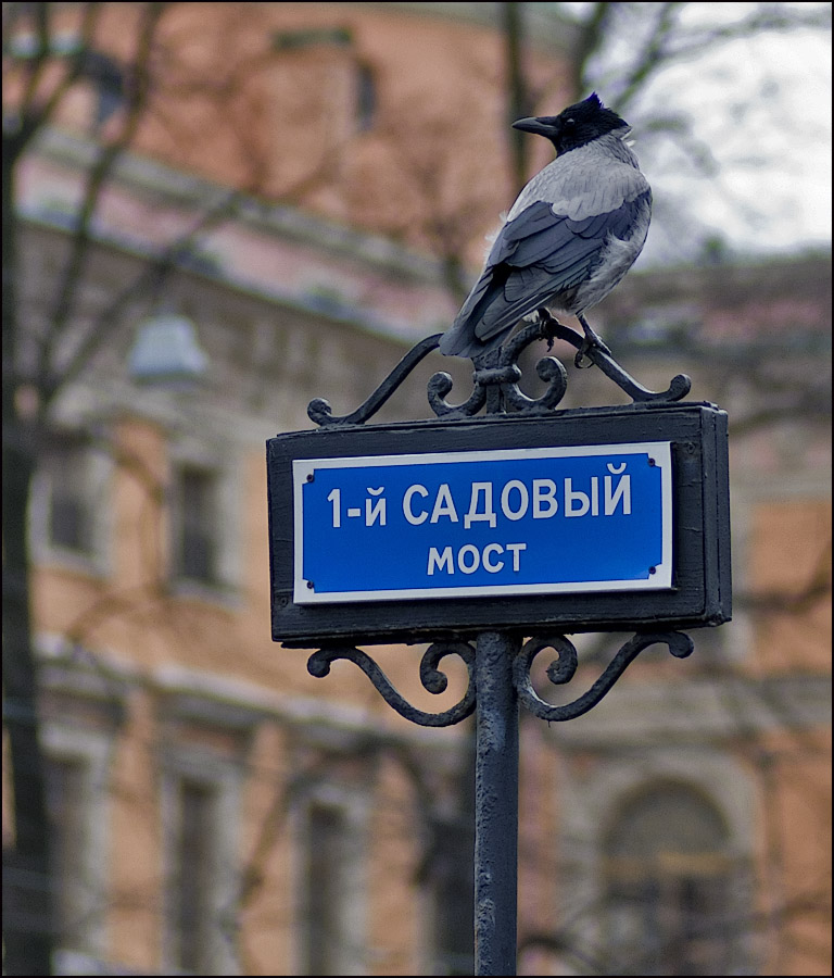   - 1-  .