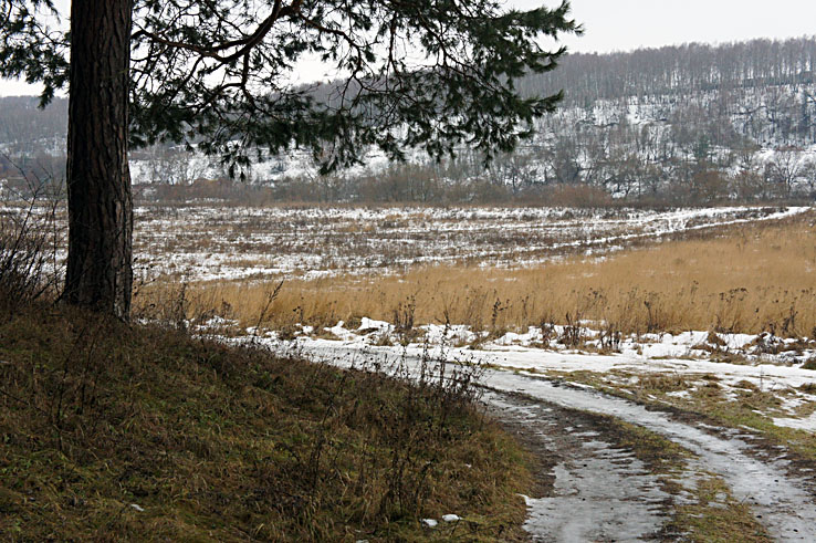   ,  2012