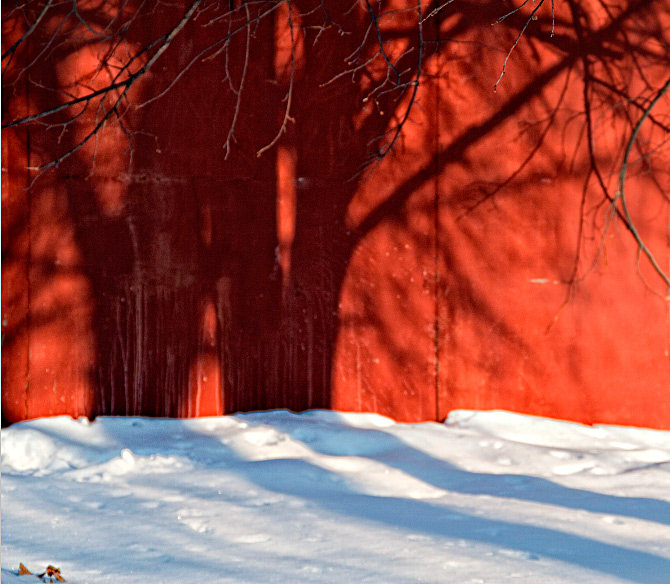  Red tree