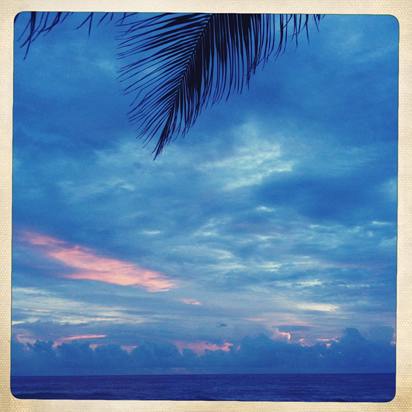  Sri Lanka #15