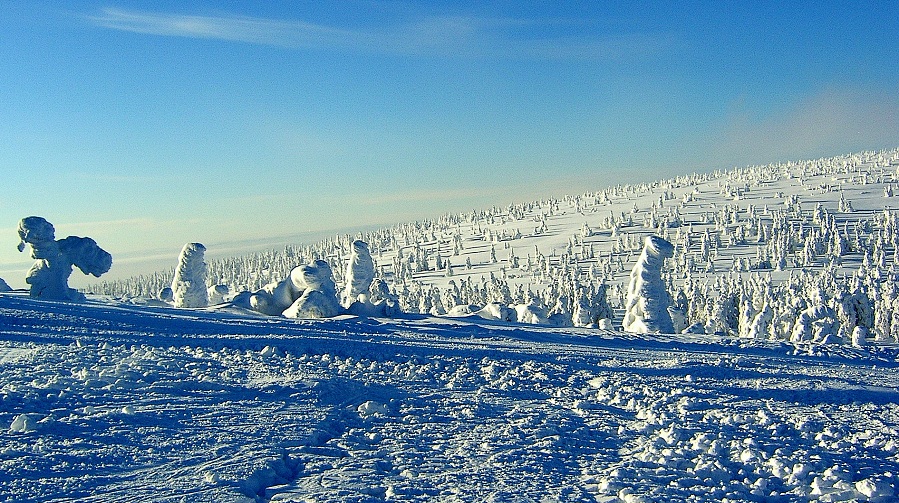  DinoSnow 2