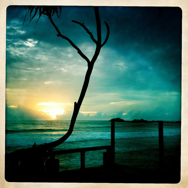 Sri Lanka #16