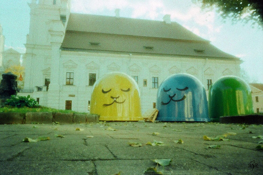  xxxx