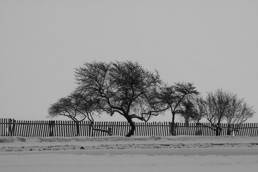  [winter in Ostpreussen]