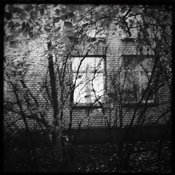  Lomo #194