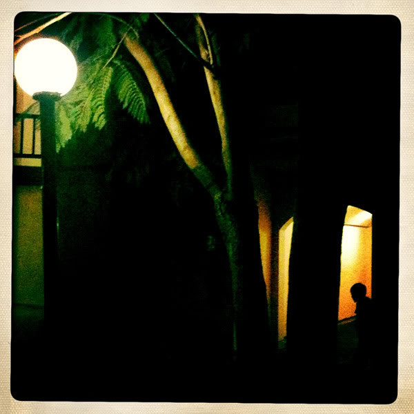  Lomo #195