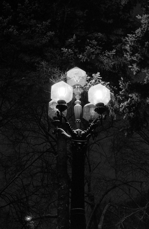  night in the park