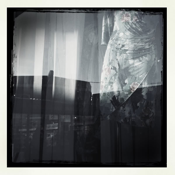  Lomo #207
