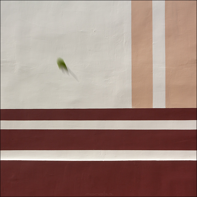  #7703. Leaf & lines