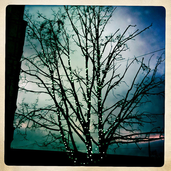  Lomo #227
