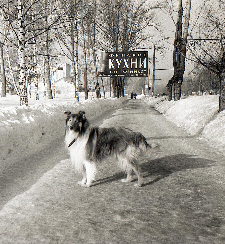  2003