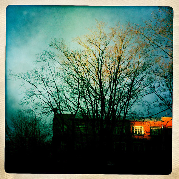  Lomo #229