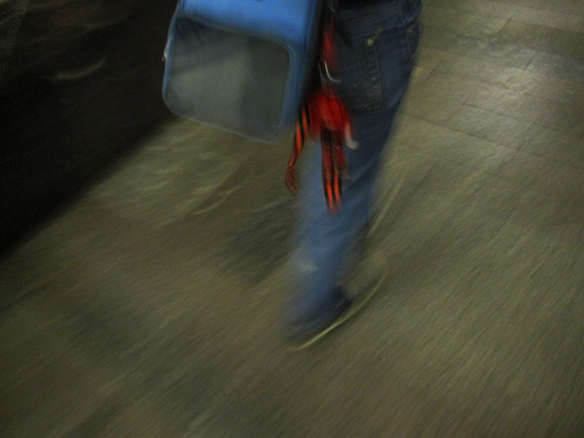  IMG 3633 ( !)