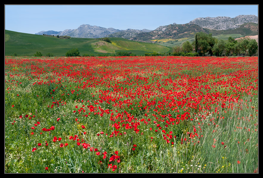  Andalucia