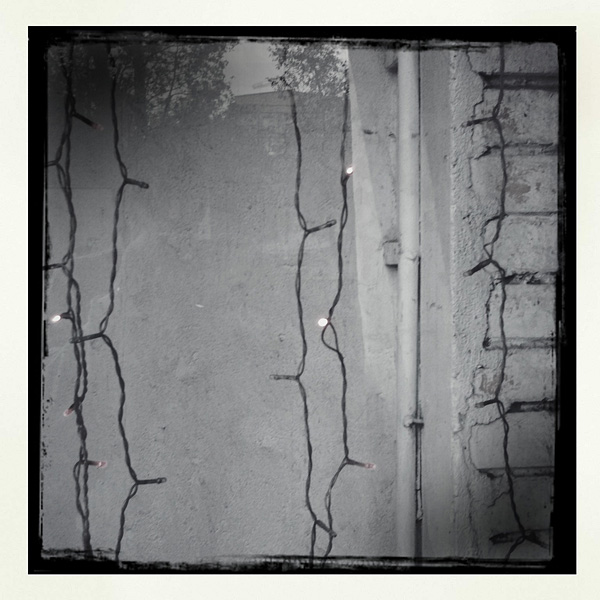  Lomo #236