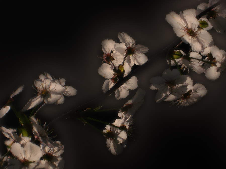    No 3 ( )