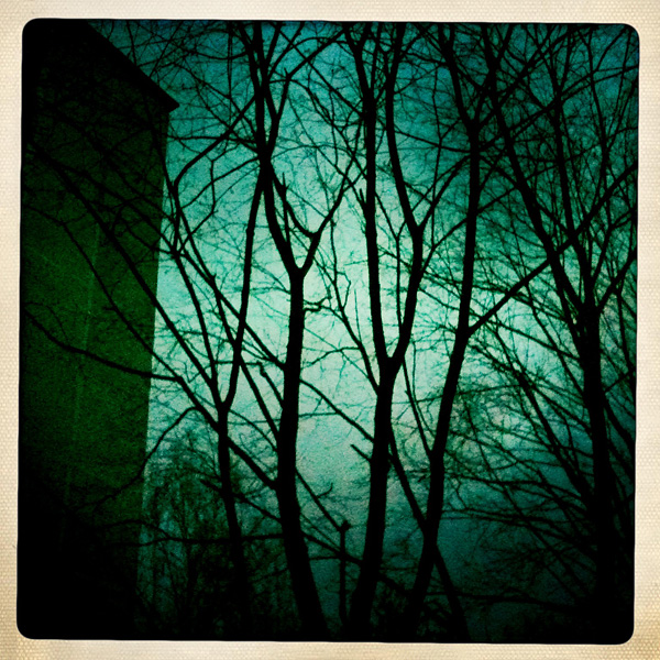  Lomo #239