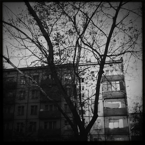  Lomo #240
