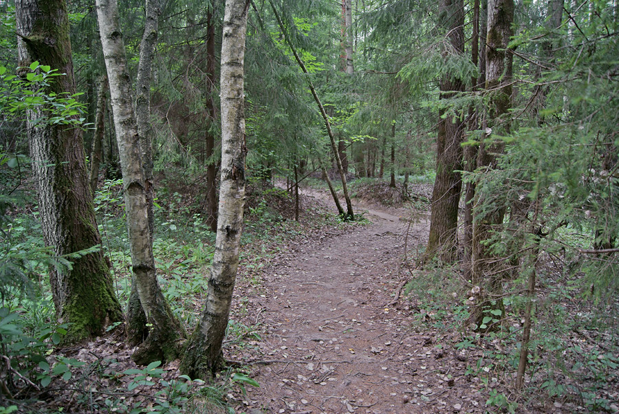   (3)