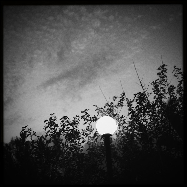  Lomo #242