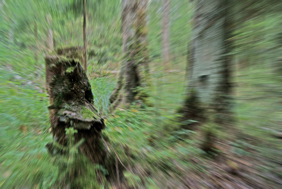  , 