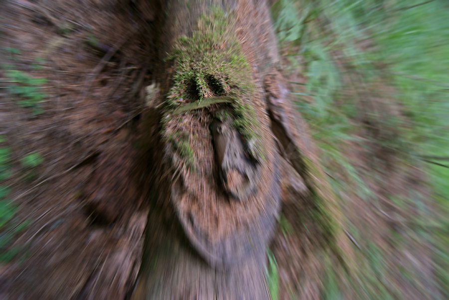   , 
