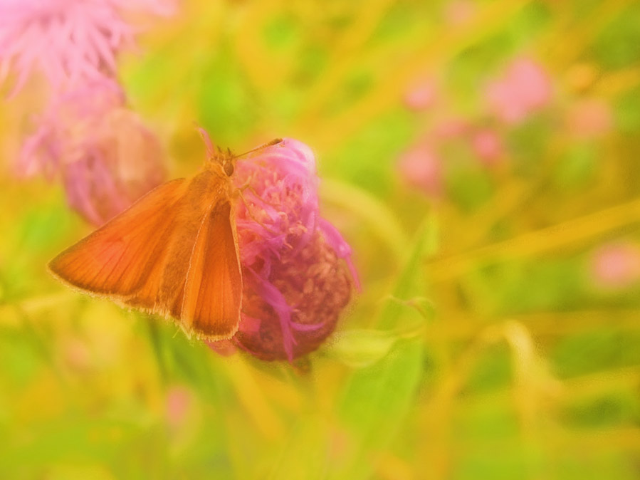   No22 ( )