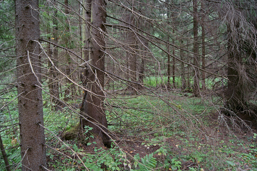    (77)