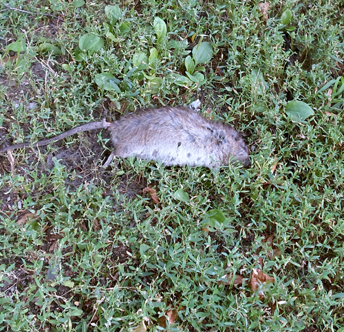      ?