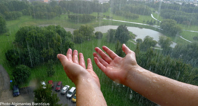  Rain