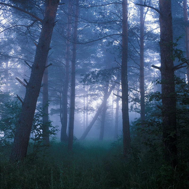  665 HB 120630 Velvia50 014.jpg