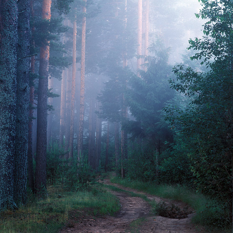 668 HB 120701 Velvia50 007