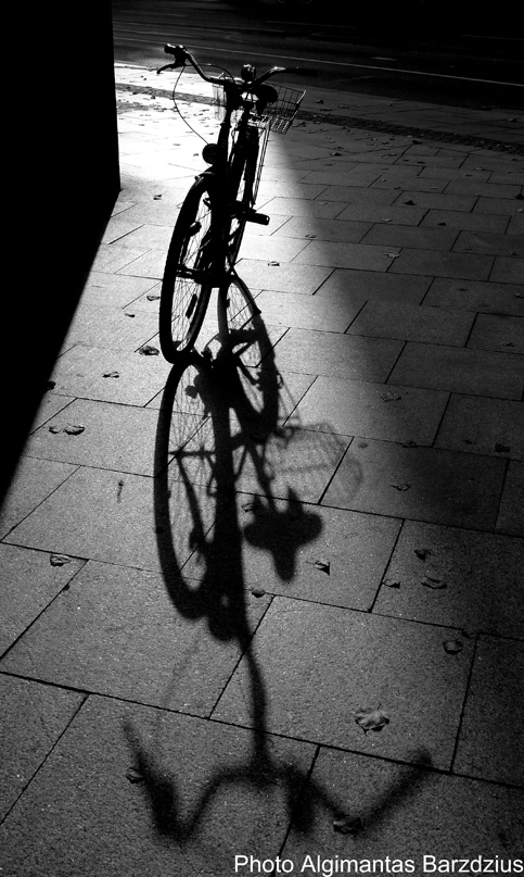  shadow