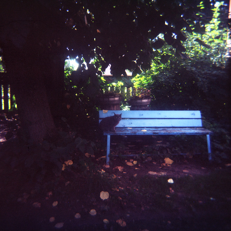  697-H-120826-Portra160VC-009