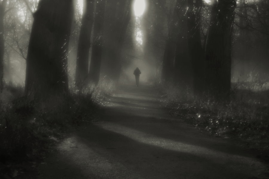  Echoes