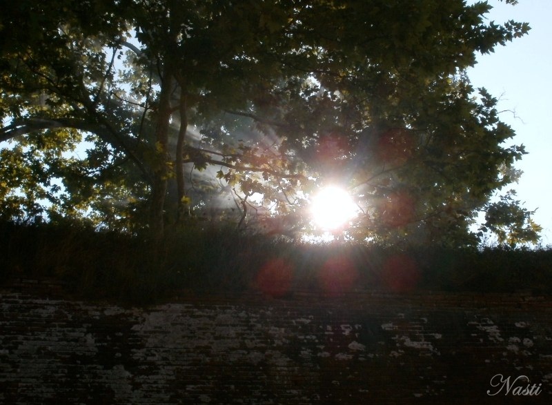  Sun