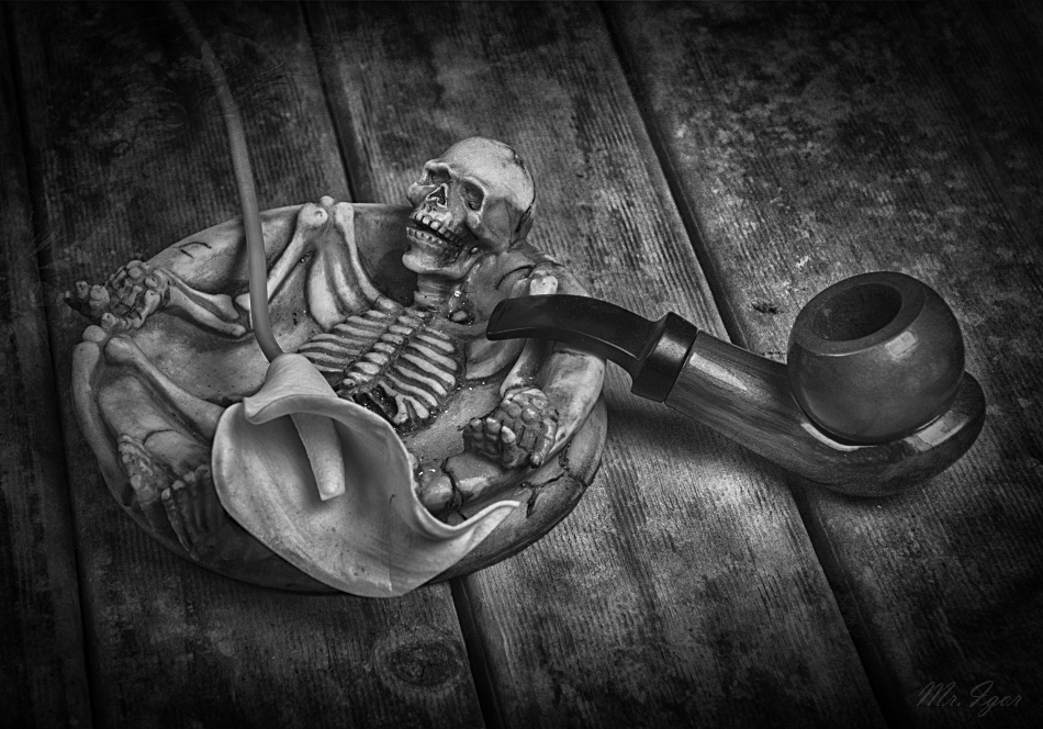  Vanitas