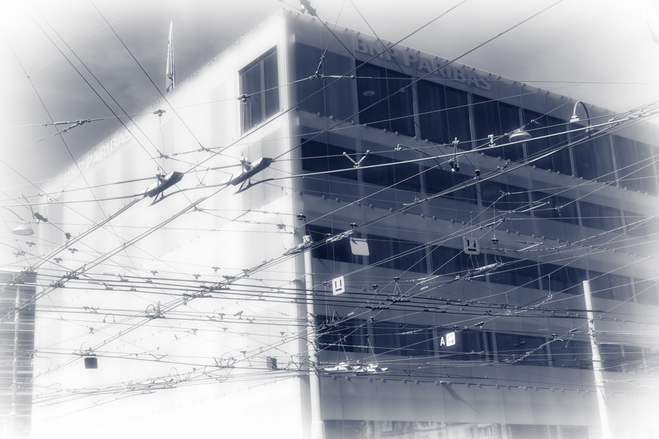 spiderweb
