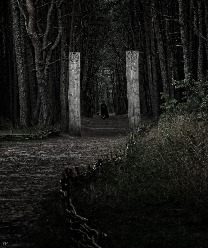 Wald Frau