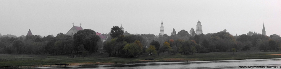  my city