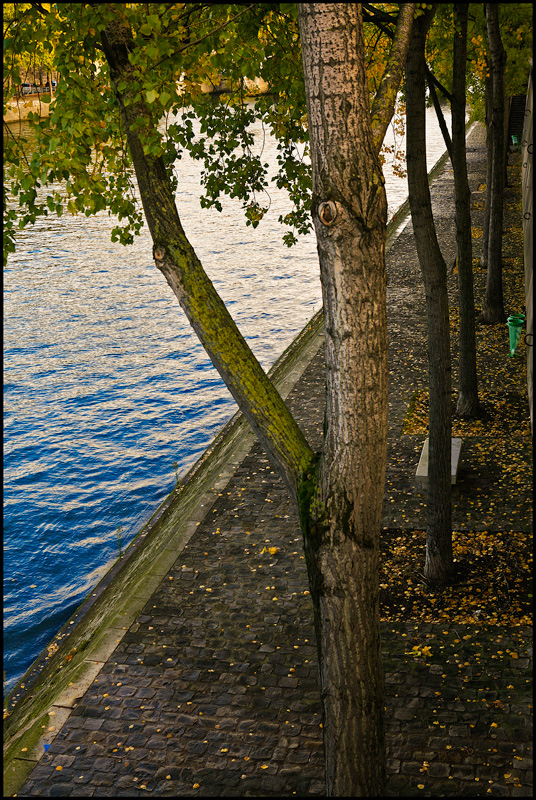  autumn in the city