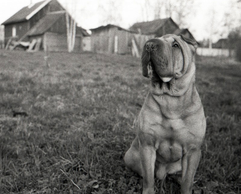  Chuck