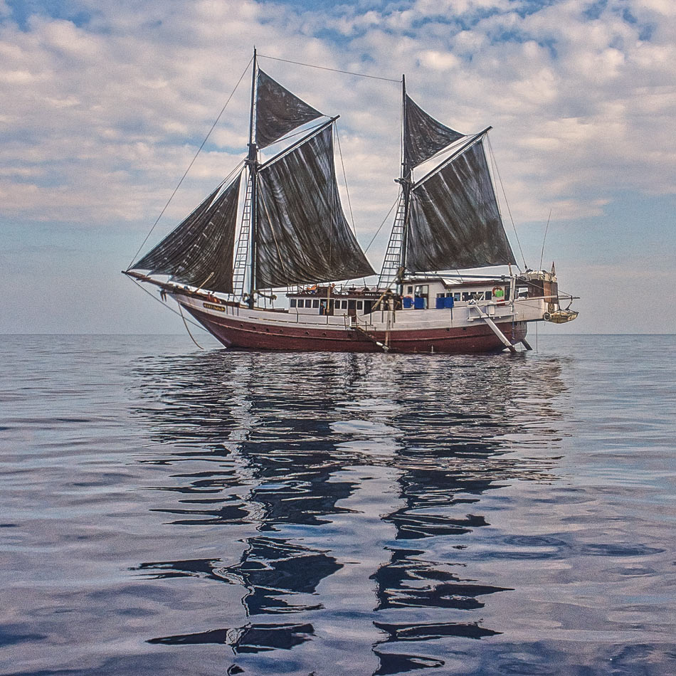   SMY Ondina - 14