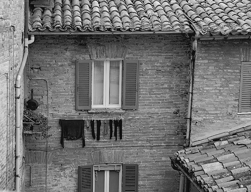  Urbino