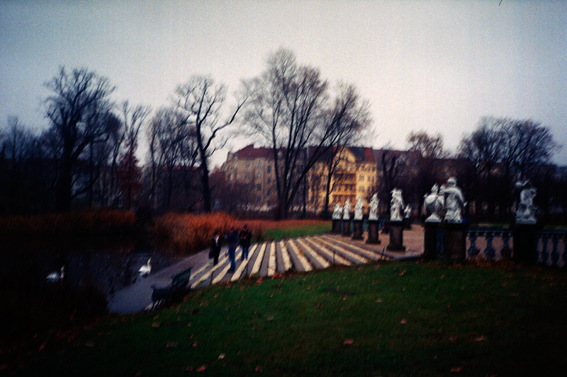  swans