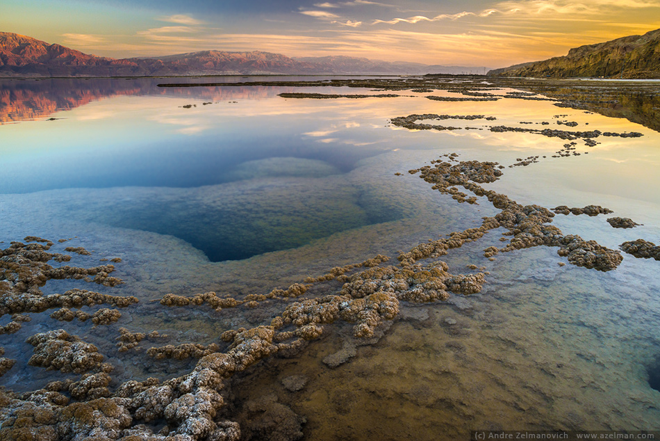  Dead Sea ...