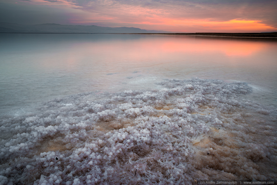  Dead Sea ...